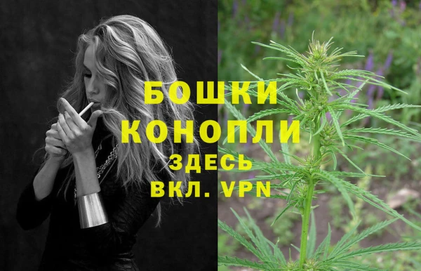 соль курить ск Гатчина