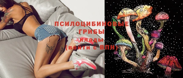 соль курить ск Гатчина