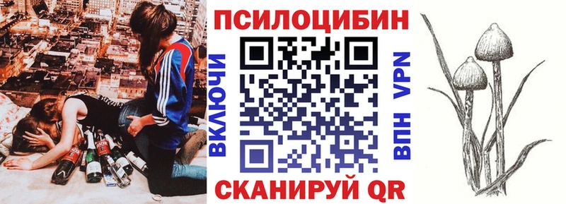 Псилоцибиновые грибы MAGIC MUSHROOMS  гидра как зайти  маркетплейс наркотические препараты  даркнет сайт  Рославль 