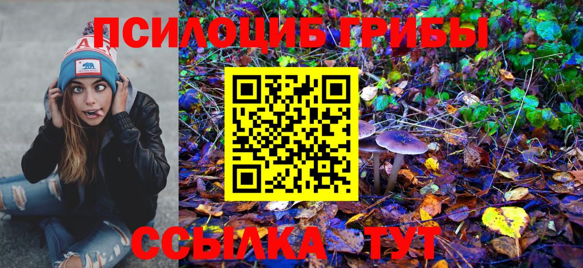 Псилоцибиновые грибы мухоморы Рославль