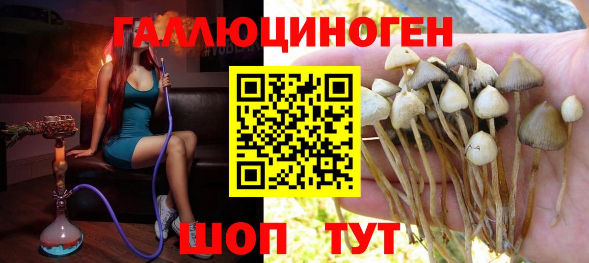 Рославль  Псилоцибиновые грибы мицелий  Вход с VPN  Псилоцибиновые грибы GOLDEN TEACHER 